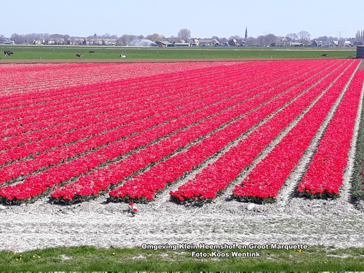 Klein Heemshof - Noord Holland Aan Uw Voeten 와멘후젠 외부 사진