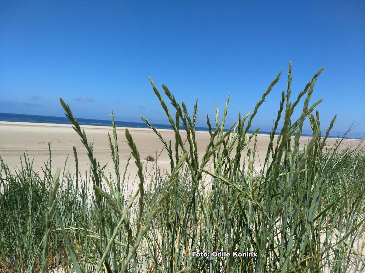 Klein Heemshof - Noord Holland Aan Uw Voeten 와멘후젠 외부 사진